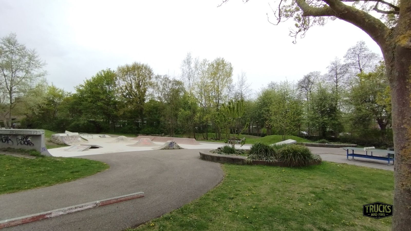 Dwergwier Leiden Skatepark